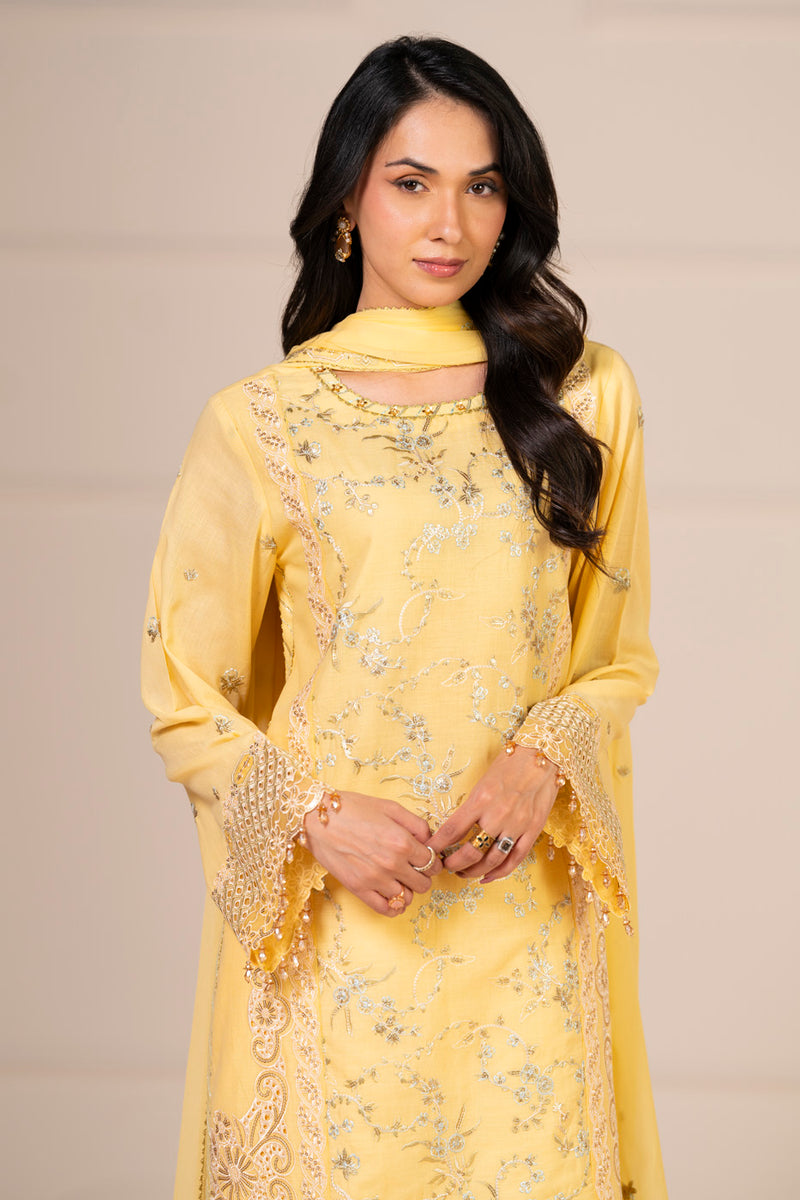 RTS | SHIRT, TROUSER & DUPATTA