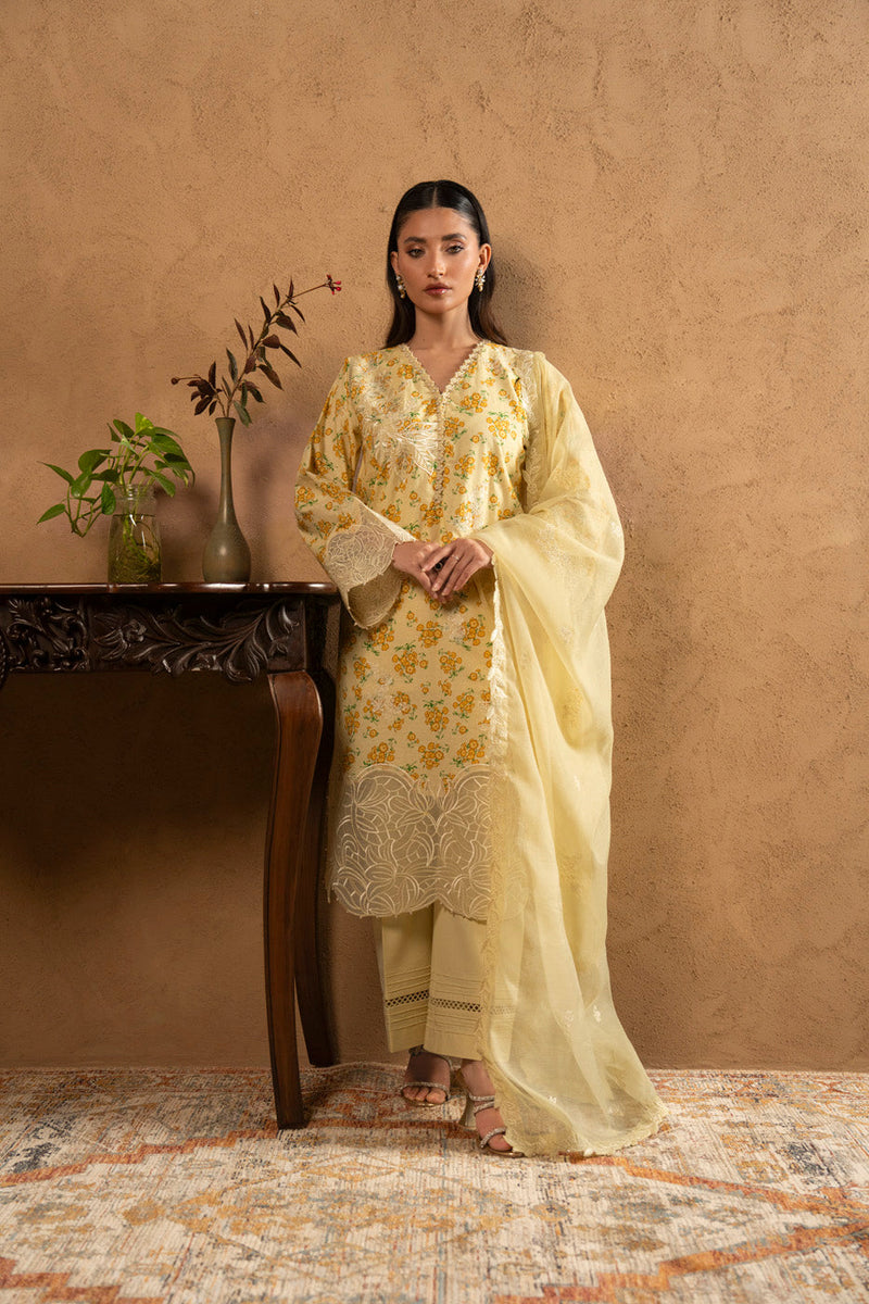 RTS | SHIRT, TROUSER & DUPATTA