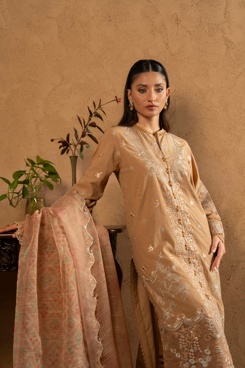 RTS | SHIRT, TROUSER & DUPATTA