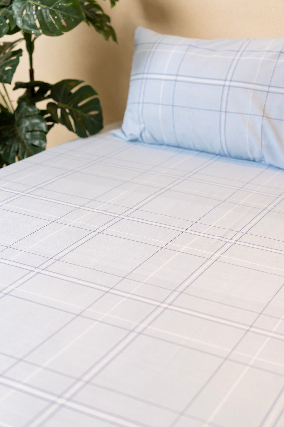 HOME  | BEDSHEET SET