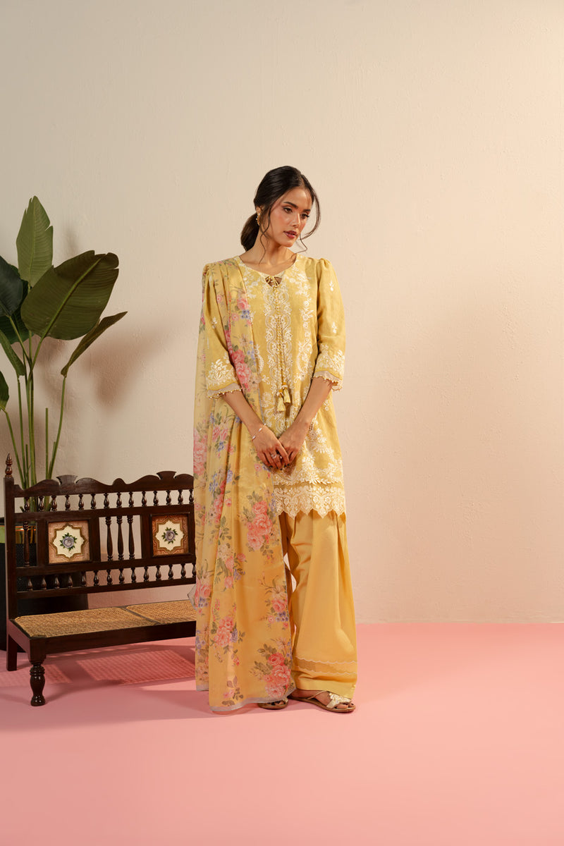 RTS | SHIRT, TROUSER & DUPATTA