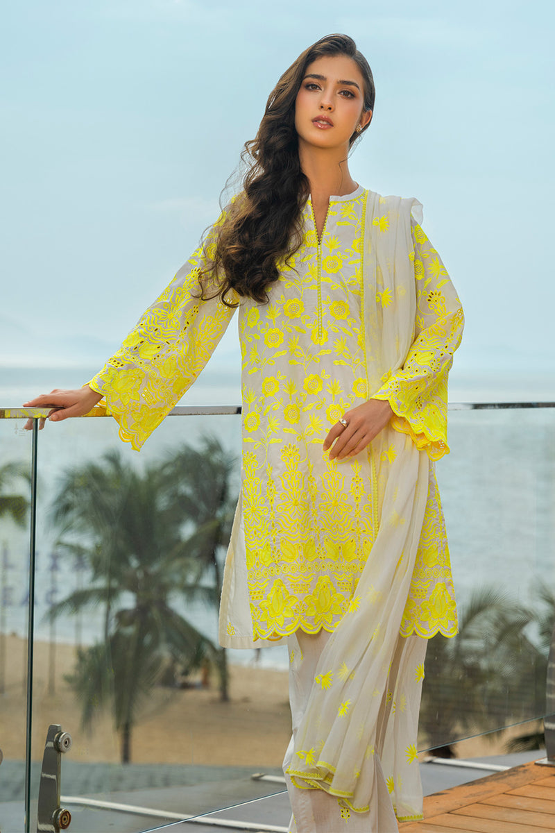 RTW | SHIRT, CULOTTE & DUPATTA