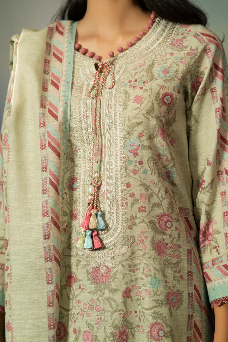 RTS | SHIRT, TROUSER & DUPATTA