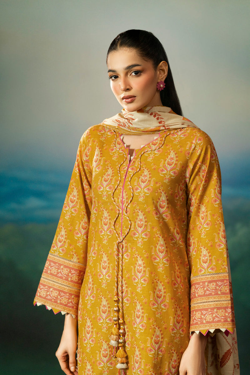 RTS | SHIRT, TROUSER & DUPATTA