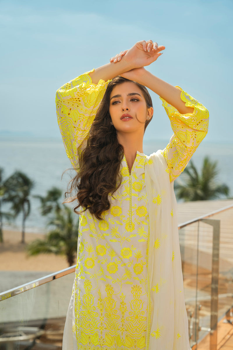 RTW | SHIRT, CULOTTE & DUPATTA