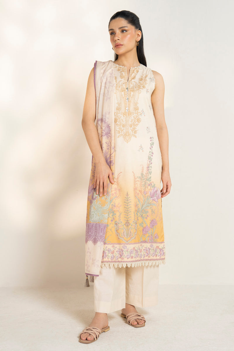 RTS | SHIRT, TROUSER & DUPATTA