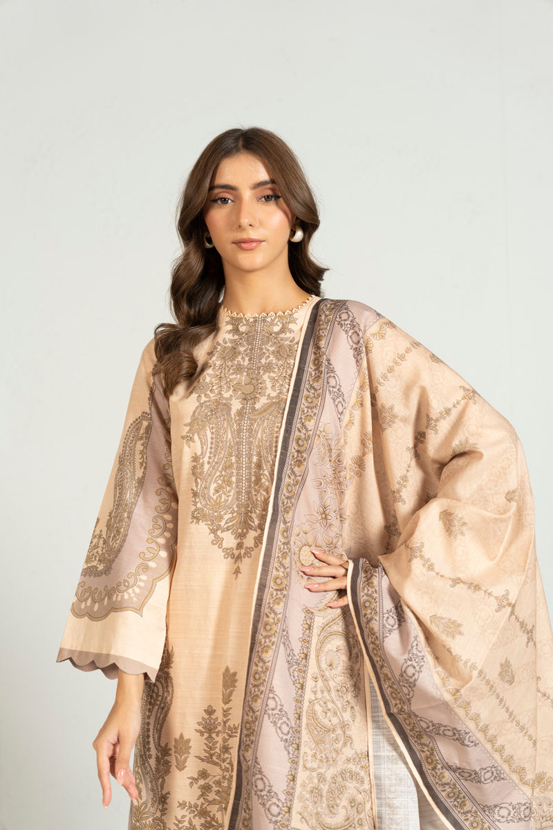 RTS | SHIRT , TROUSER & DUPATTA