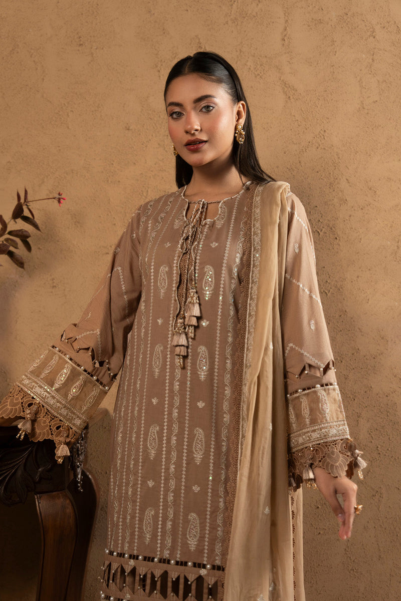 RTS | SHIRT, TROUSER & DUPATTA