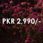 PKR 2,990/-