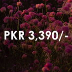 PKR 3,390/-