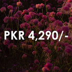 PKR 4,290/-