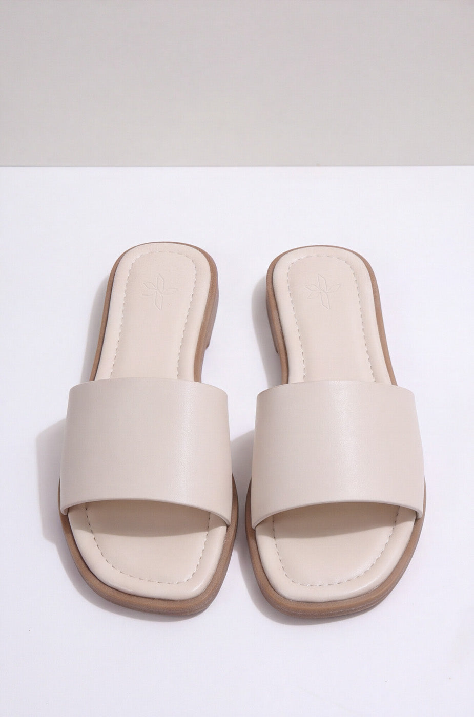 BASIC SLIDES