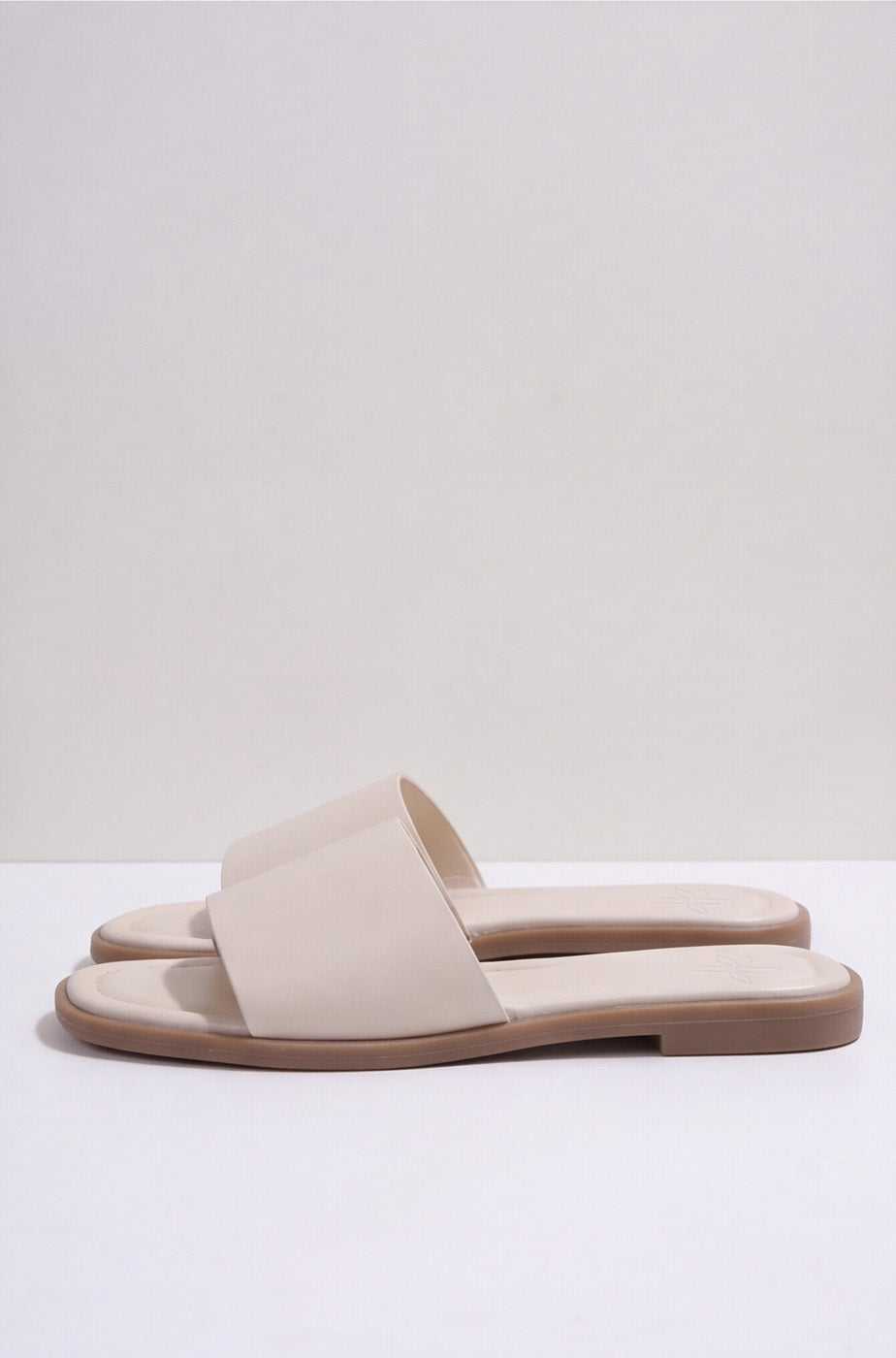 BASIC SLIDES