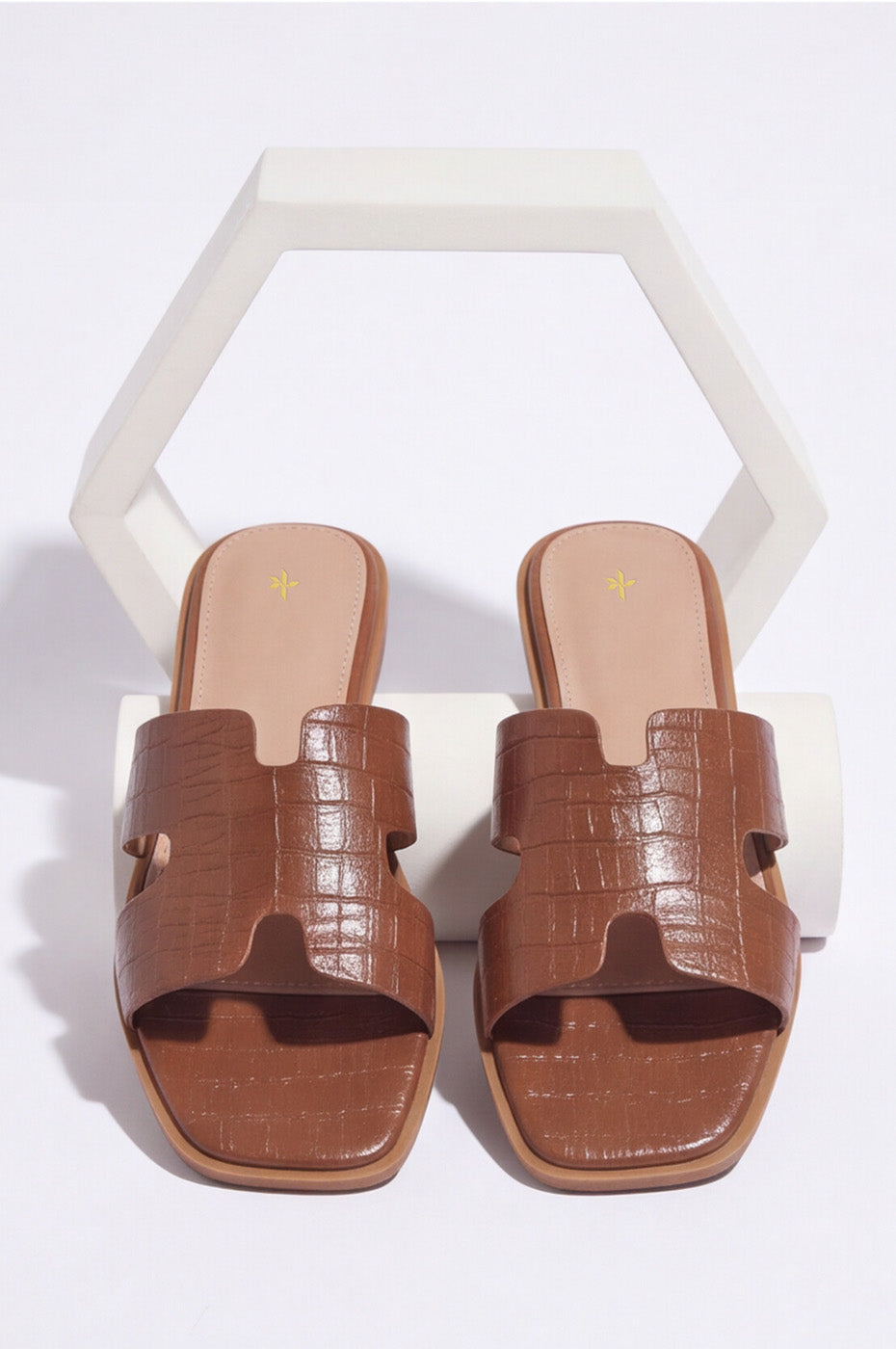 BASIC SLIDES