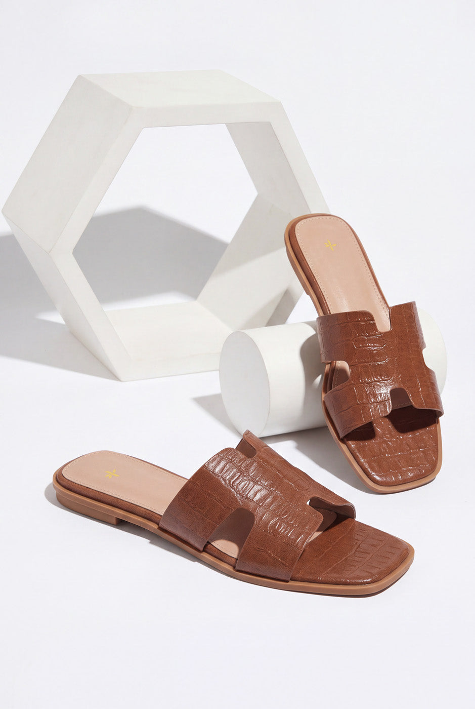BASIC SLIDES