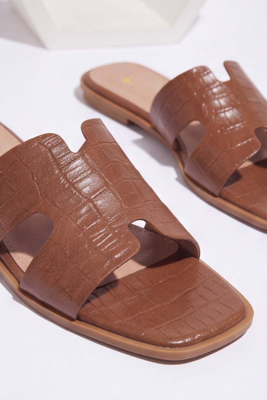 BASIC SLIDES