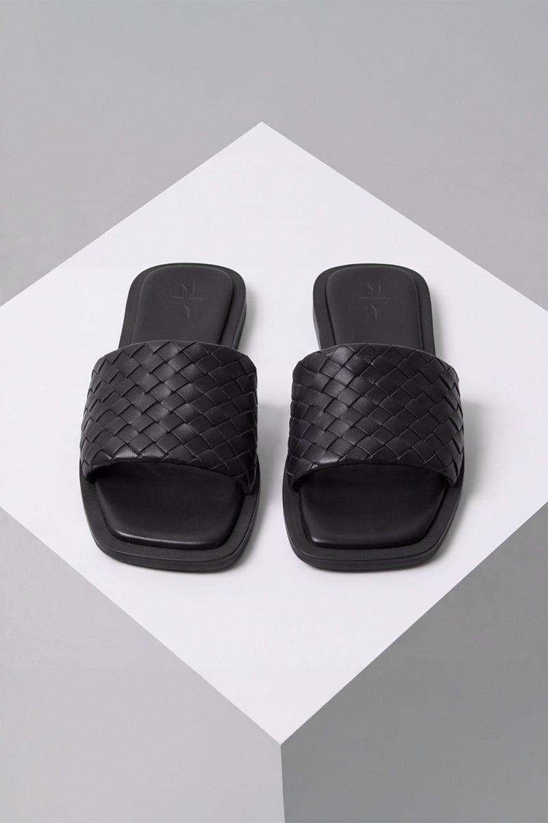 BASIC SLIDES