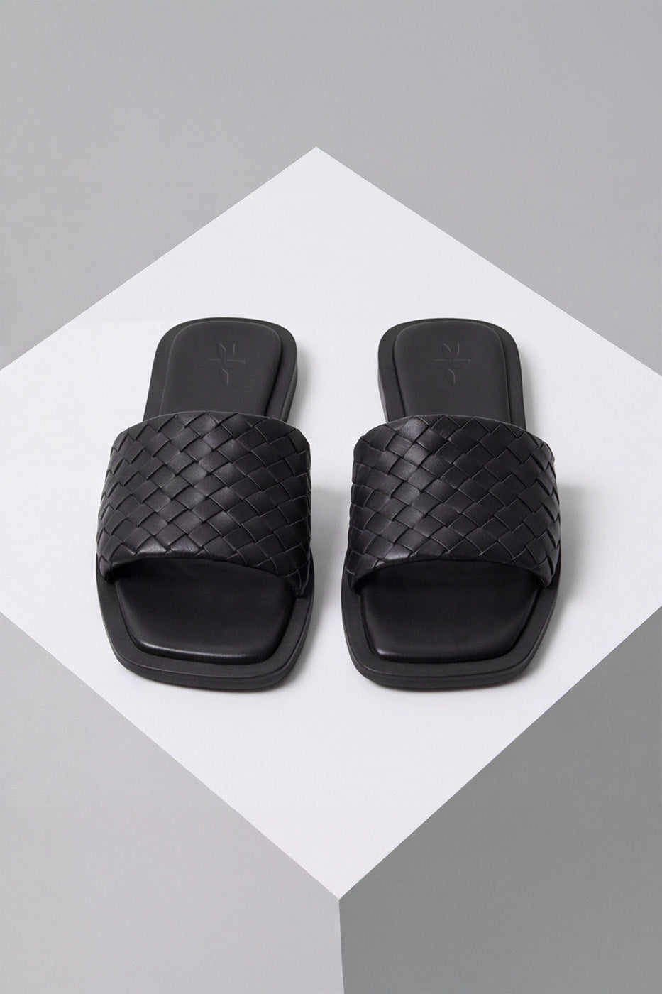 BASIC SLIDES