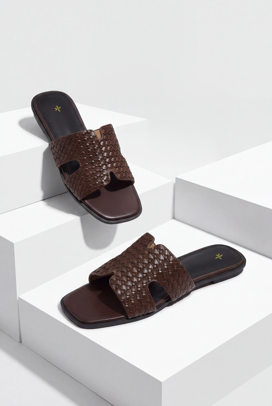 BASIC SLIDES
