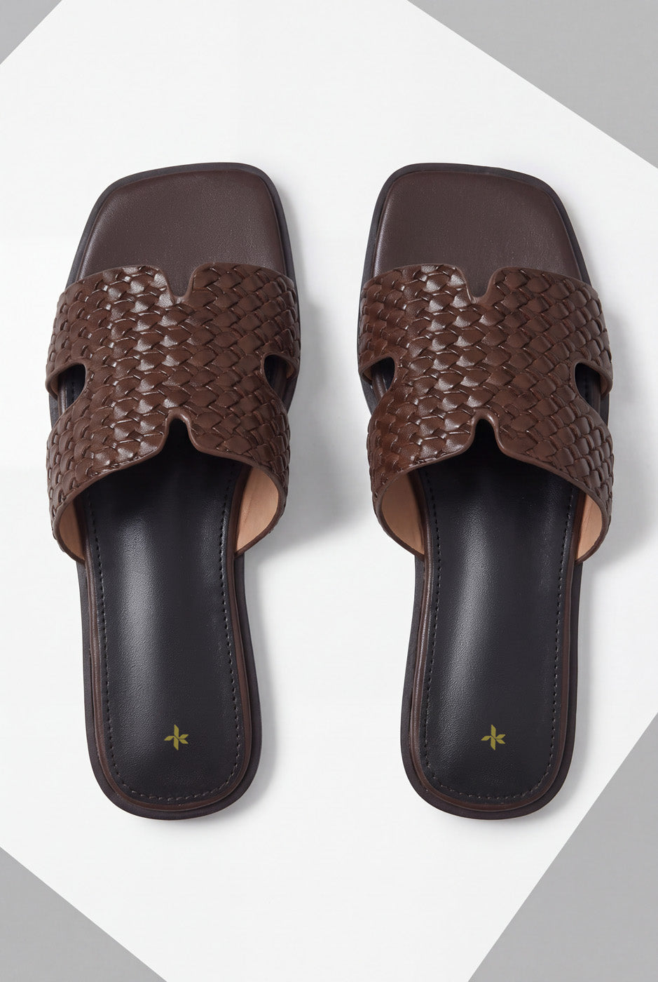 BASIC SLIDES