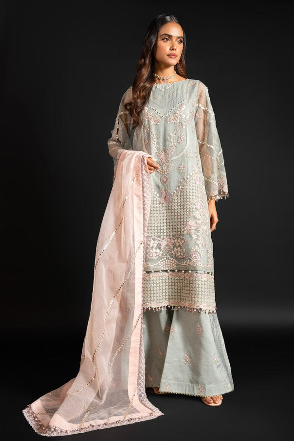 Beautiful Organza Suit PC1528