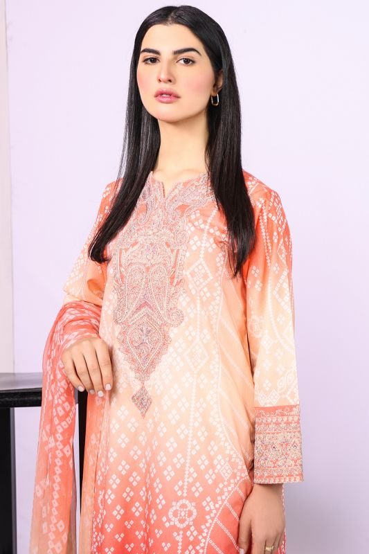 2 Pc Embroidered Suit