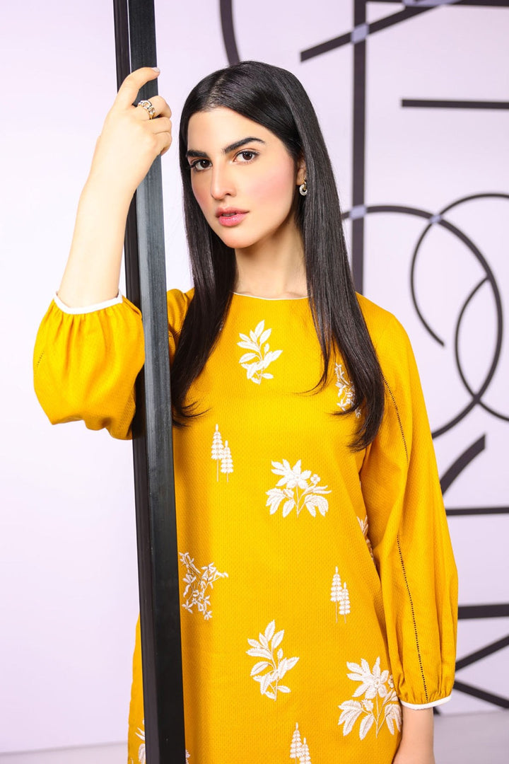 Dyed Embroidered Textured Kurti
